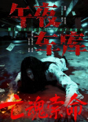 ckplayer国内精品