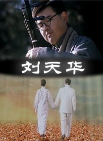 ckplayer国内精品
